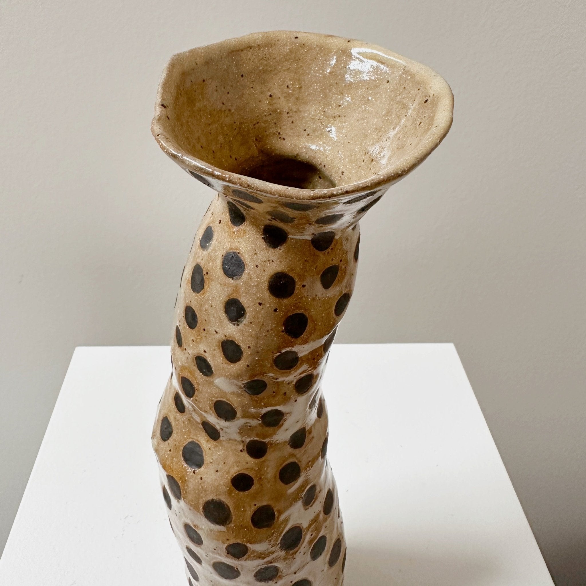 Tall Speckled Vase no. 179